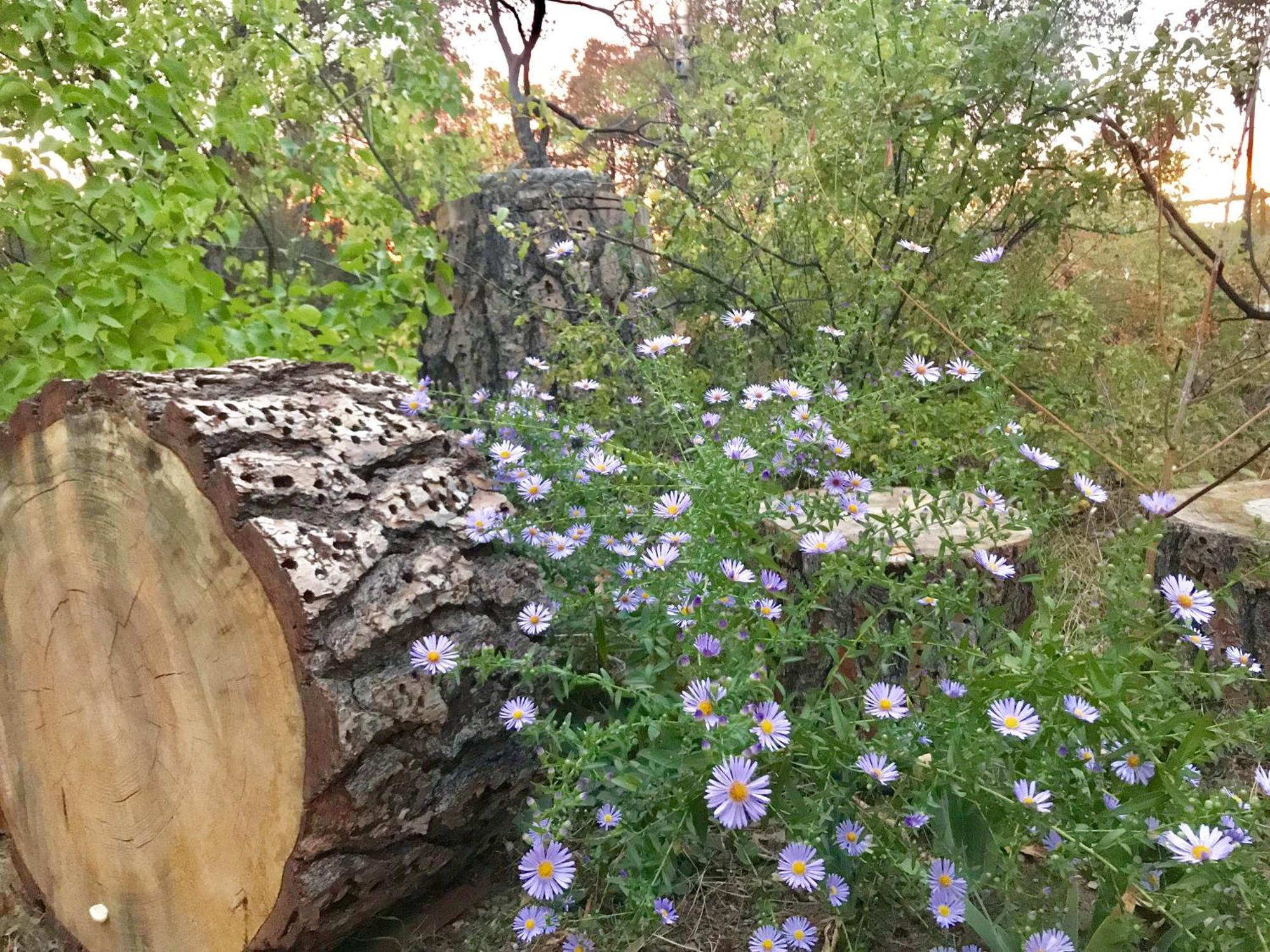 Sierra Mountain Lodge - Vacation Rentals - Yosemite Ahwahnee Luaran gambar