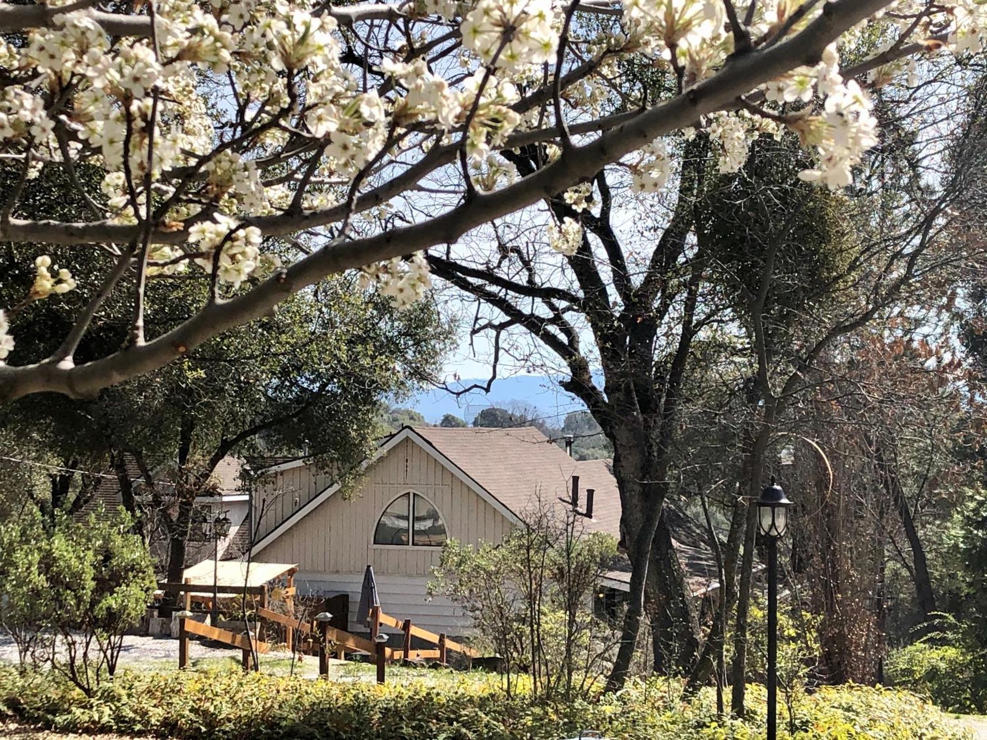 Sierra Mountain Lodge - Vacation Rentals - Yosemite Ahwahnee Luaran gambar
